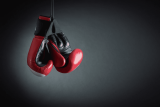 Best Boxing Gloves For Beginners