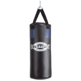 Best Punching Bag For Youth