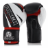 Everlast Boxing Gloves Review